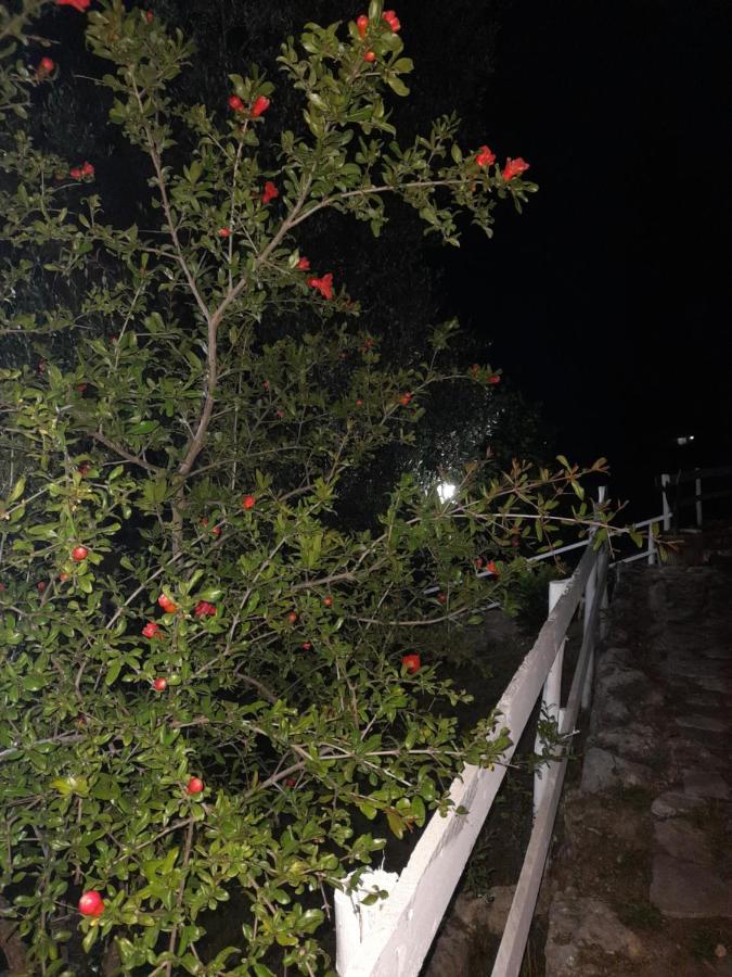 La Casa Al Mare Villa Peschici Eksteriør bilde